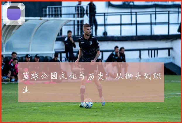 篮球公园文化与历史：从街头到职业