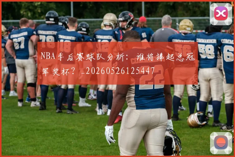 NBA季后赛球队分析：谁将捧起总冠军奖杯？_20260526125447